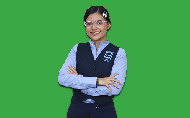 Licenciatura en Lenguas Extranjeras